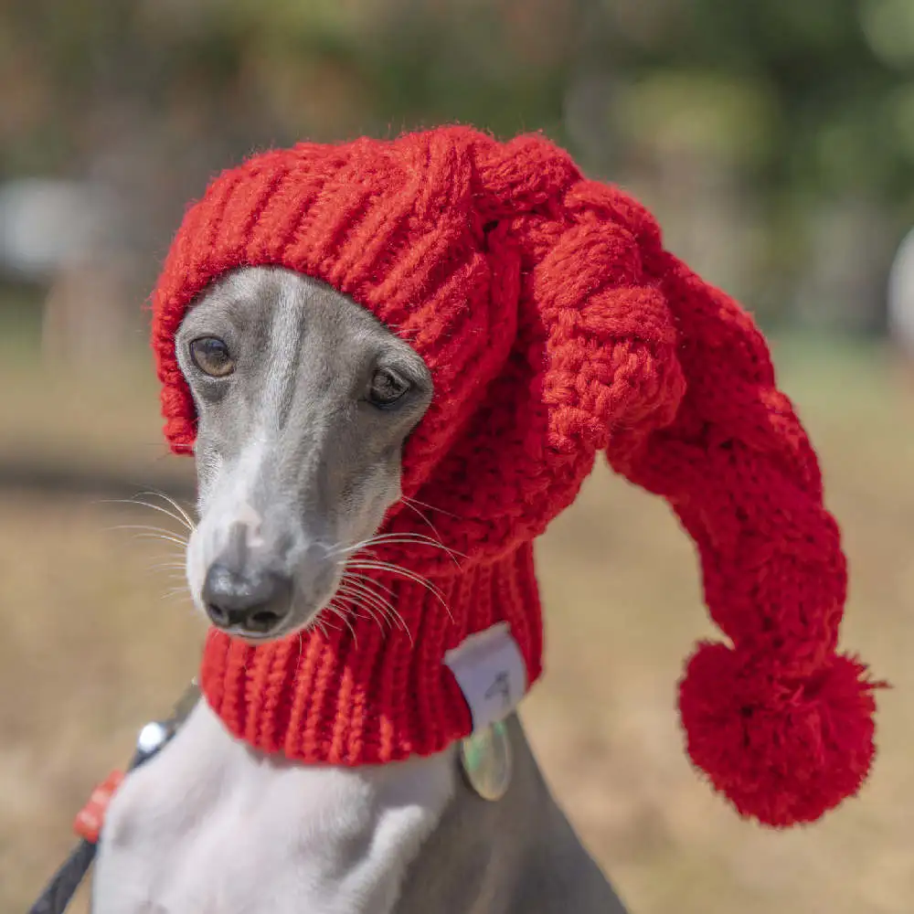 Pet Warm Woolen Hat Takes Cute Photos