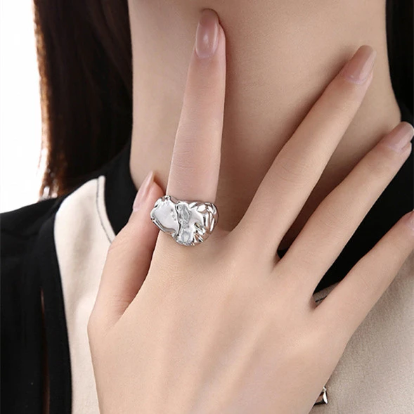 Women's Fashionable Pleated Alloy Ring