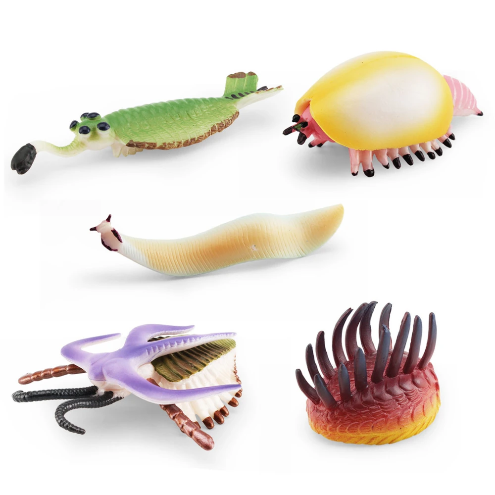 Sea Animal Model Vivid Look Realistic Pikaia Wiwaxia Miniature Figurine Decoration PVC Cambrian Ancient Marine Animals Model Decoration Educational Toy