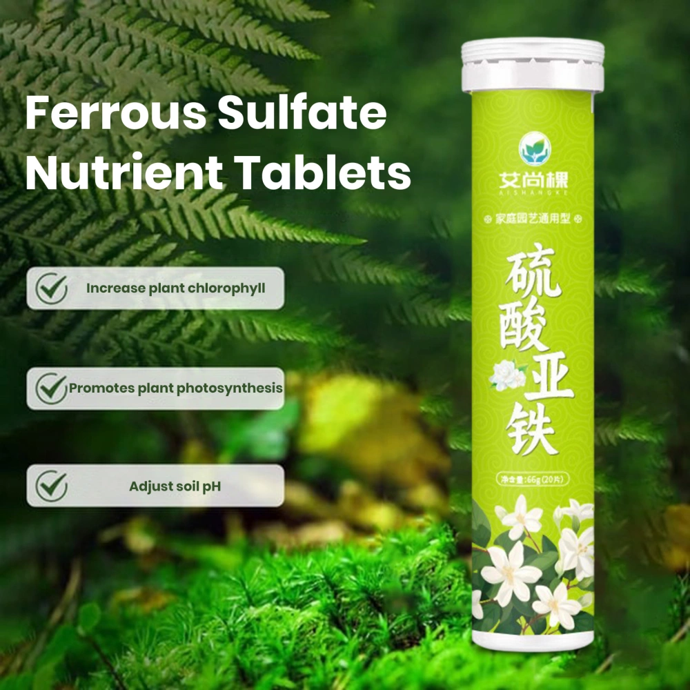 22Pcs Ferrous Sulfate Fertilizer Tablet Plants Flowers Vegetables Greenery Fruits Growth Iron Supplement Universal Slow Release Nutrient Tablet Gardening Supplies 