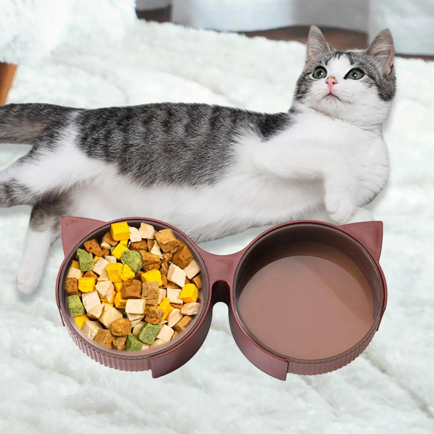 Cat Food Bowls Plastic Pet Feeding Station Kitten Food and Water Bowls
