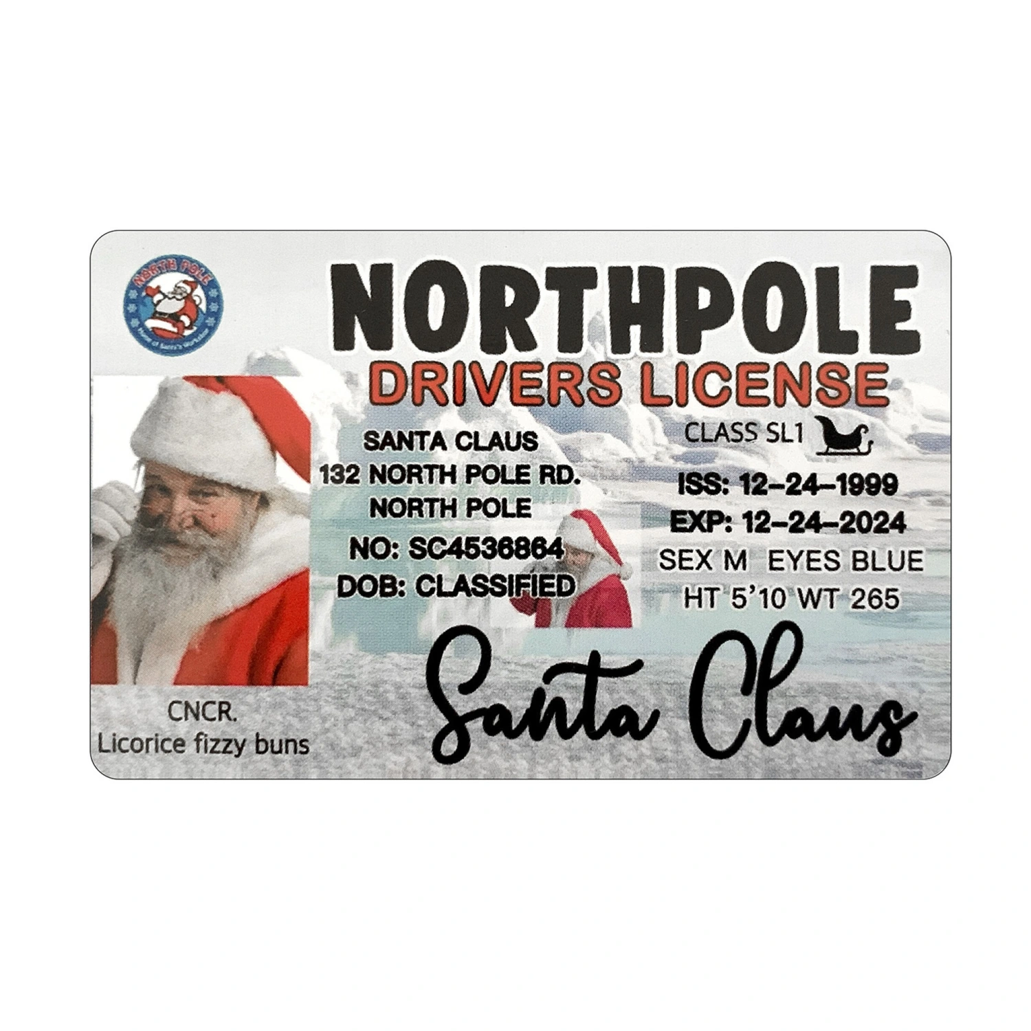 Santa Claus Driver License Santa Claus Business Card ID Card