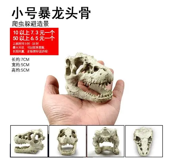 Resin Dinosaur Skull Model Skull Model Simulated Dinosaur Skull Model for Office Display