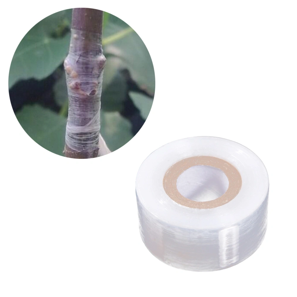 PE Grafting Tape Stretchable Moistureproof Self-adhesive Clear Floristry Film for Pecans Walnuts Citrus Avocado Fruits Tree (30mmx100m)