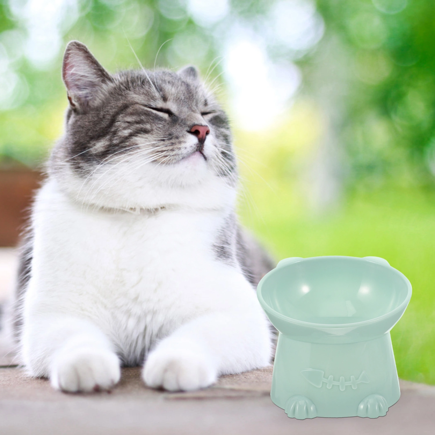 Unbreakable Feeding Bowl Pet Neck Guard Bowl Cat Food Bowl Elevated Cat Bowl