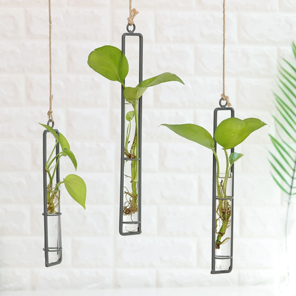 3pcs Hydroponic Glass Tubes Wall Art Vases Hanging Plant Containers Home Decors