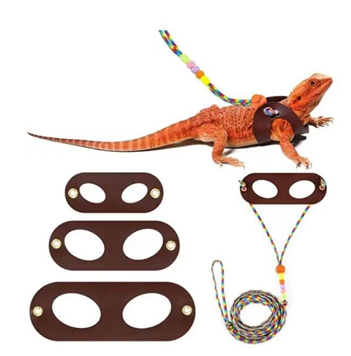 1 Set of Lizard Leash Bearded Dragon Leash Reptile Outdoor Leash Small Pet Leash