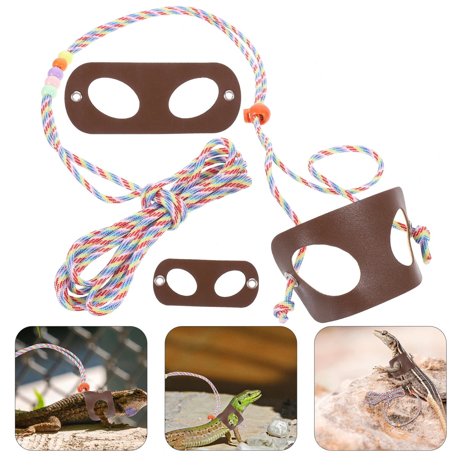 1 Set of Lizard Leash Bearded Dragon Leash Reptile Outdoor Leash Small Pet Leash
