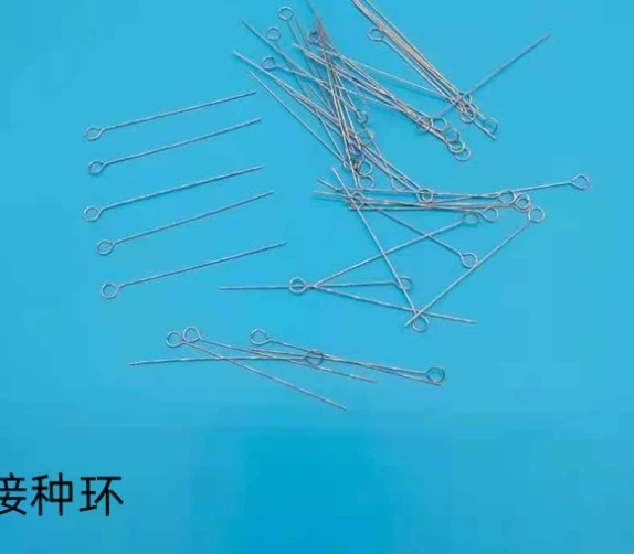 20pcs Inoculation Loops Needles Inoculating Rings Laboratory Reusable Inoculating Loops