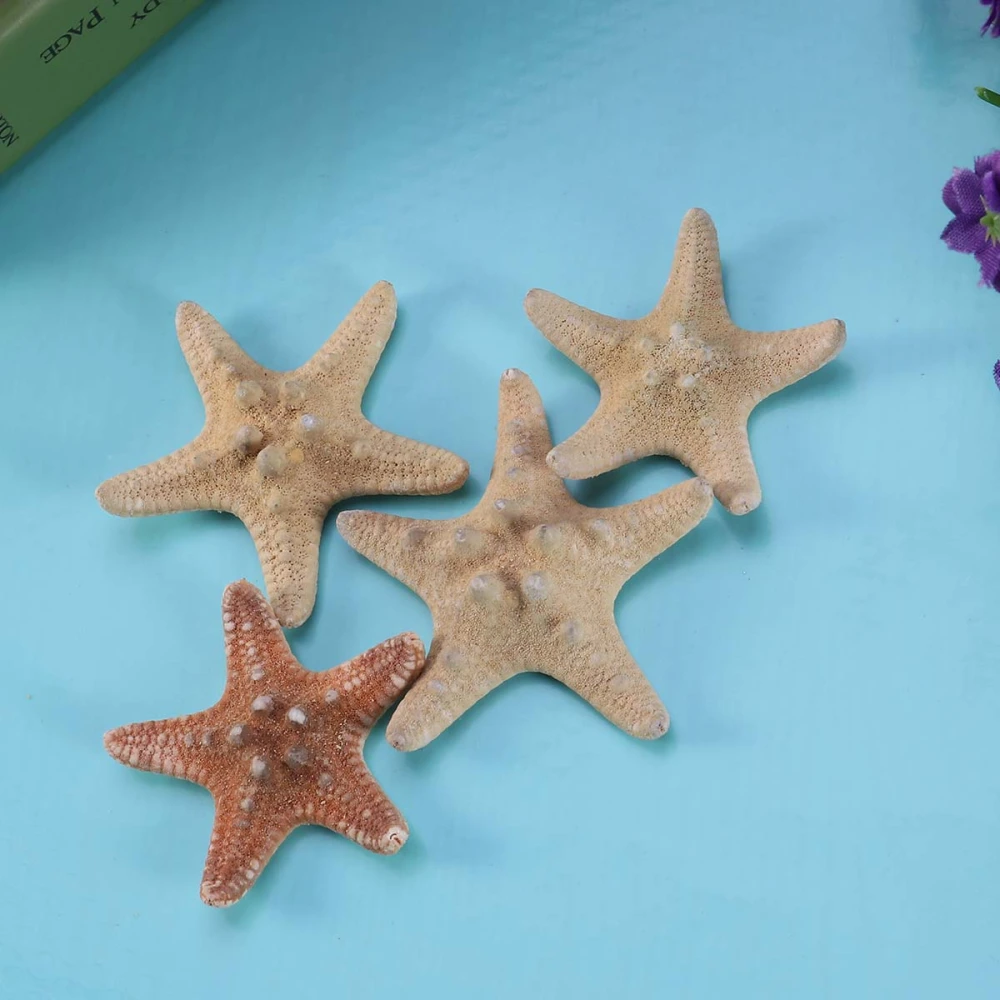 4pcs Sea Star Carfts Decoration DIY Beach Cottage Decor Sea Shell for Wedding Photography Party Home Decoration(4-6cm)