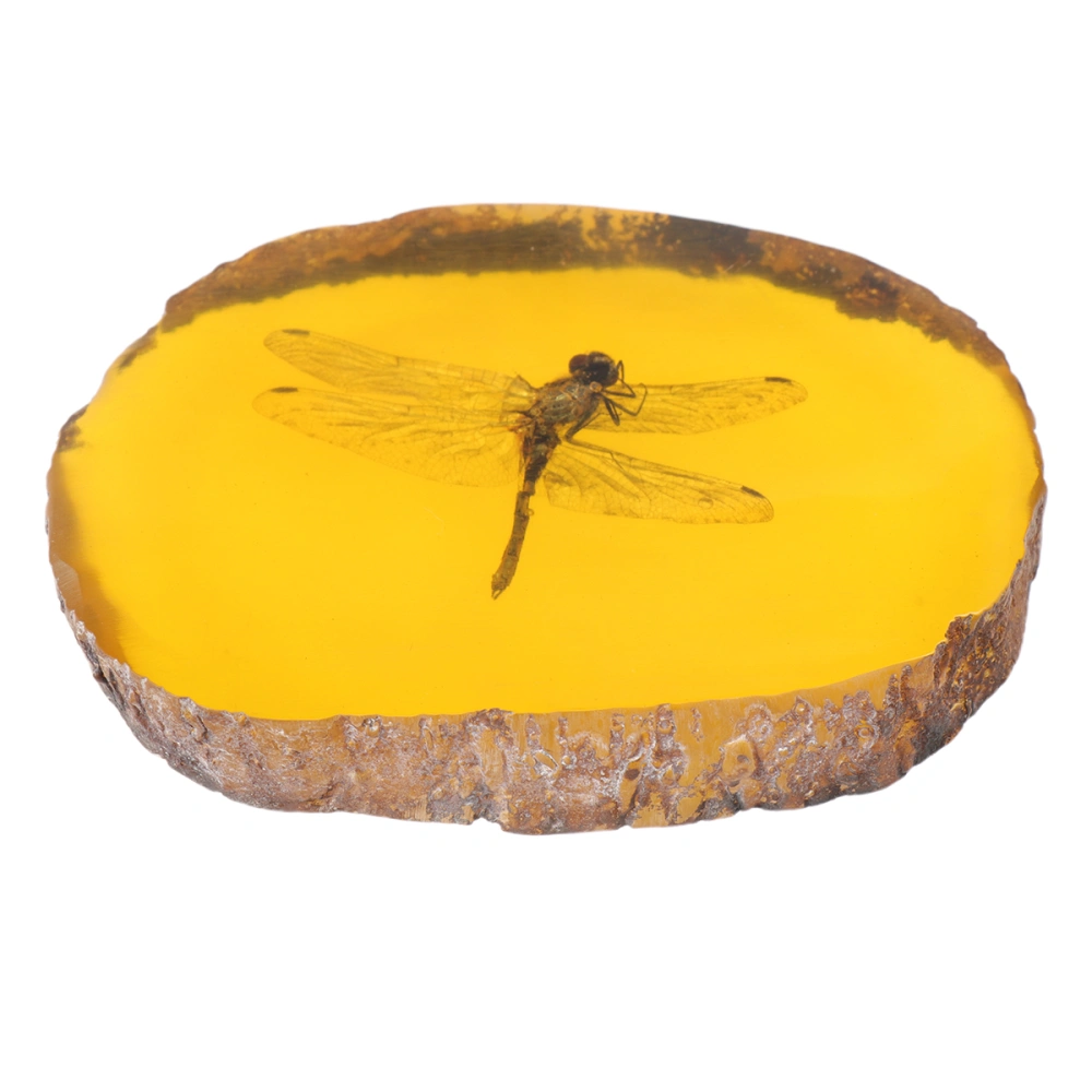 1pc Artificial Amber Insect Specimen Pendant Scorpions Insects Amber Stone Ornament for Friends (Dragonfly)