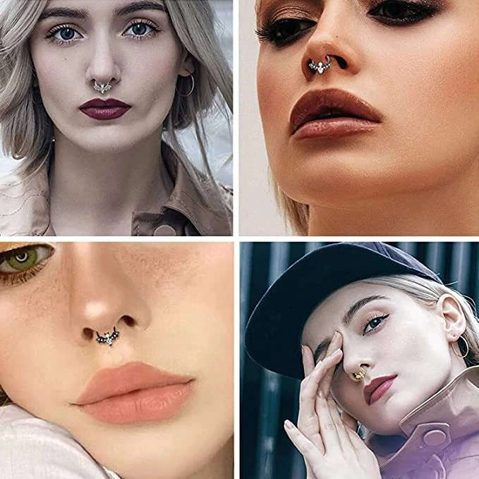 2pcs Nose Rings Nose Piercing Jewelry Nose Hoop Cartilage Earrings for Women Girls