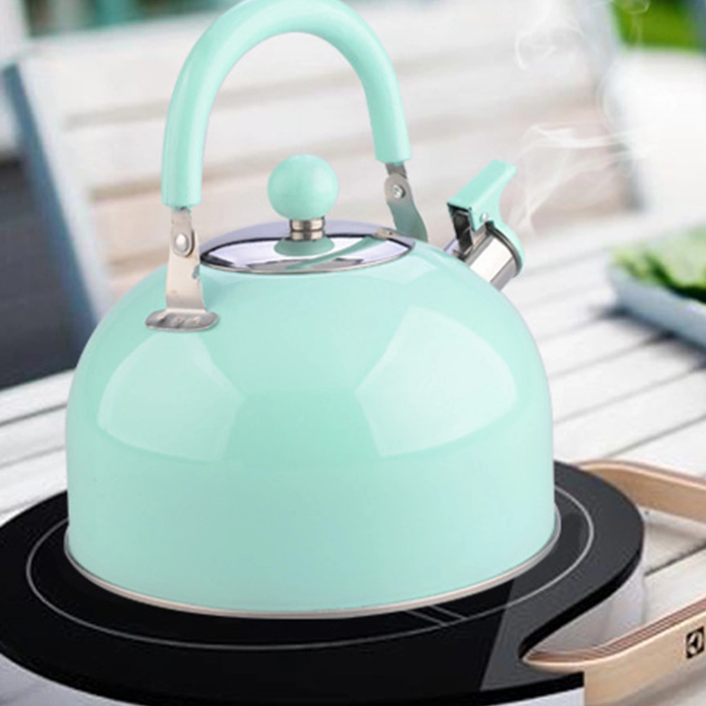 1PC Non-magnetic Teakettle Stainless Steel Sounding Kettle Thickening Water Heater Kettle Colored Whistle Hot Kettle Whistle Heating Water Pot Random Color