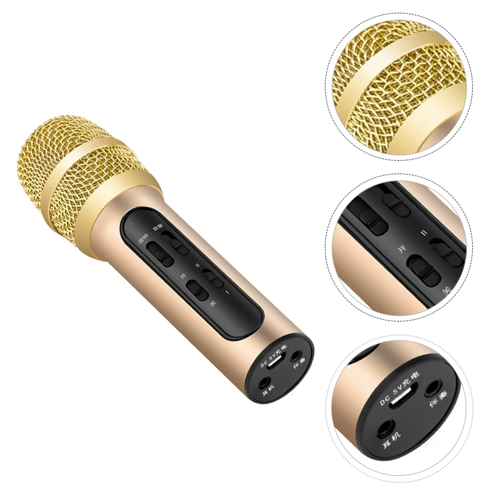 1 Set Microphone Professional Handheld Microphone for Studio Karaoke Singing