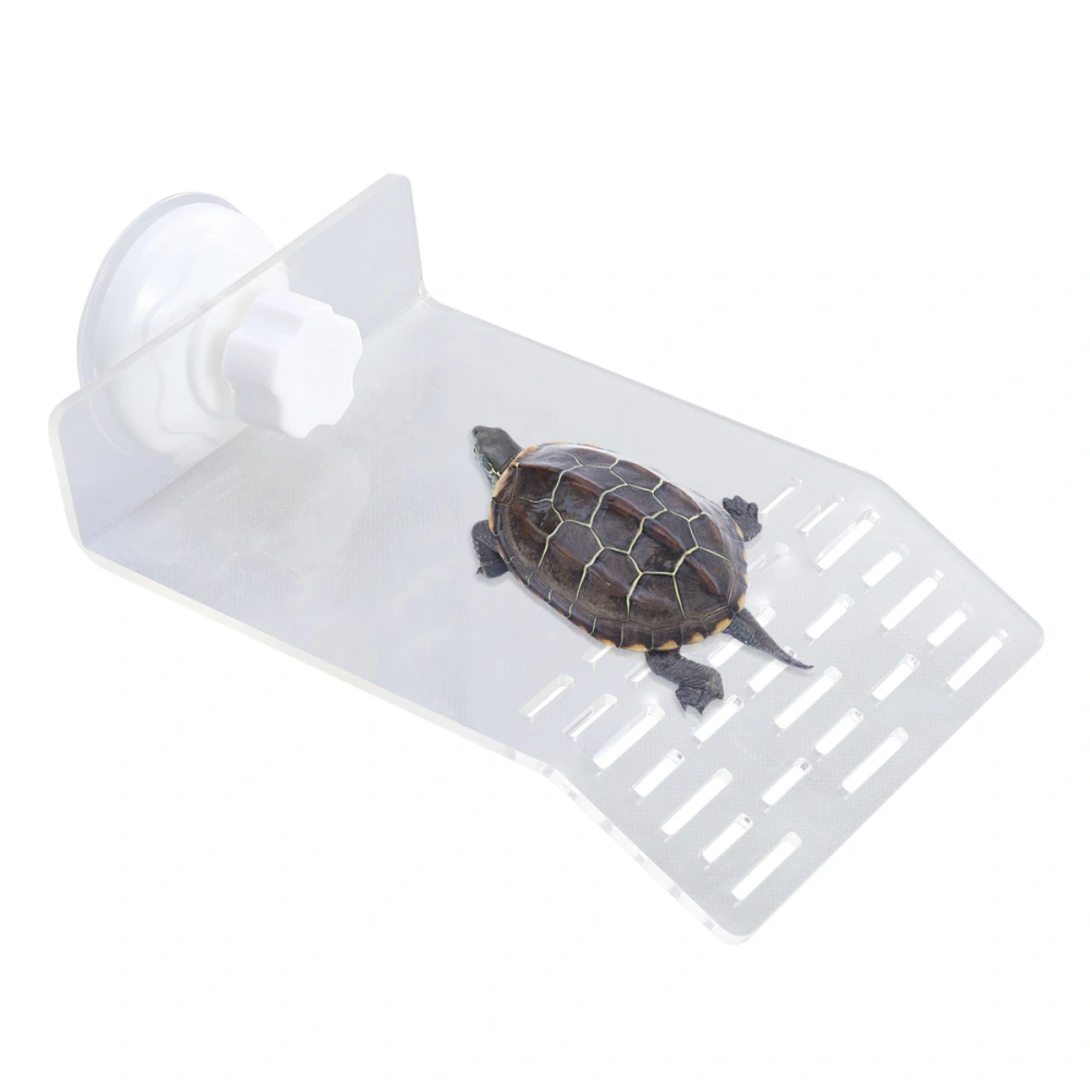 Acrylic Turtle Dock Basking Platform Floating Turtle Pier with Suction Cups Size M