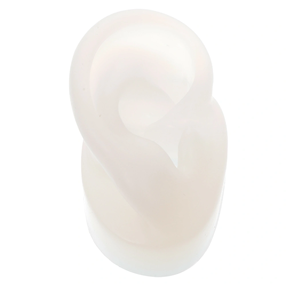 Creative Ear Piercing Model Lifelike Ear Piercing Model Ear Model Piercing Prop