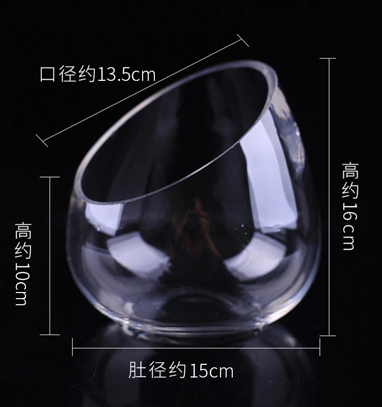 Glass Hydroponic Vase Clear Oblique Flower Vase Hydroponic Glass Vases for Table Centerpiece