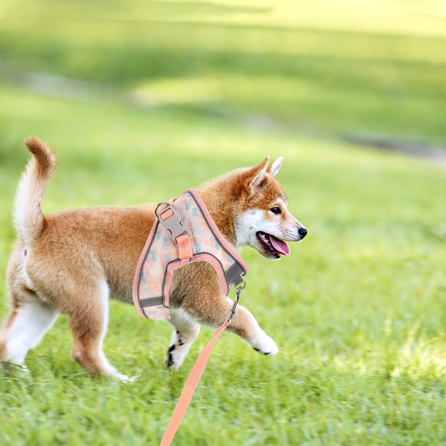 1 Set of Dog Harness And Leash Outdoor Pet Harness Comfortable Cat Leash Harness Kit