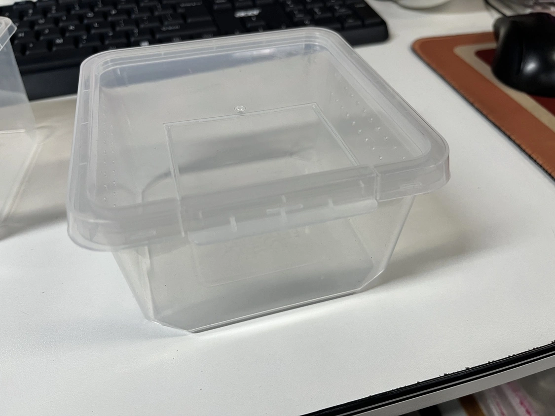 Clear Reptile Box Reptile Breeders Reptile Case Reptile Feeding Box Reptile Container