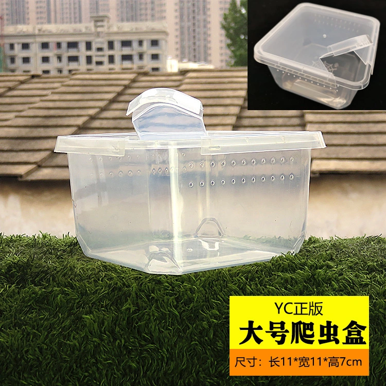 Clear Reptile Box Reptile Breeders Reptile Case Reptile Feeding Box Reptile Container