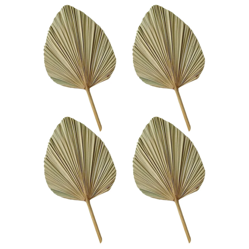 4pcs Dried Palm Leaves Layout Palm Leaves for Wedding Party Decorative Dried Leaf Props