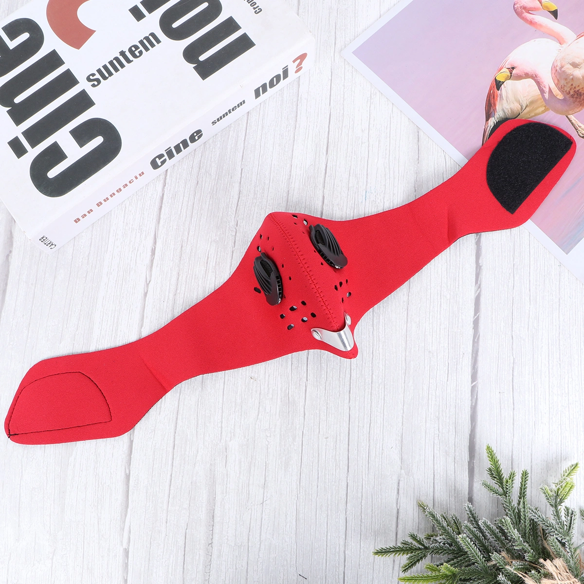 Dust Mask PM 2.5 Activated Carbon Mask Air Filtering Dust Respirator with Filter for Outdoor Activities(Red)