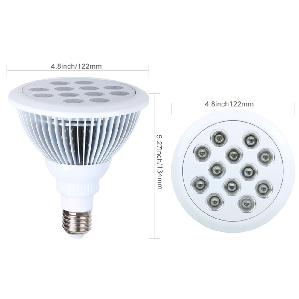 24W LED Infrared Therapy Lamp Medical Light Beauty Salon Special Lamps (Without Lamp Base)