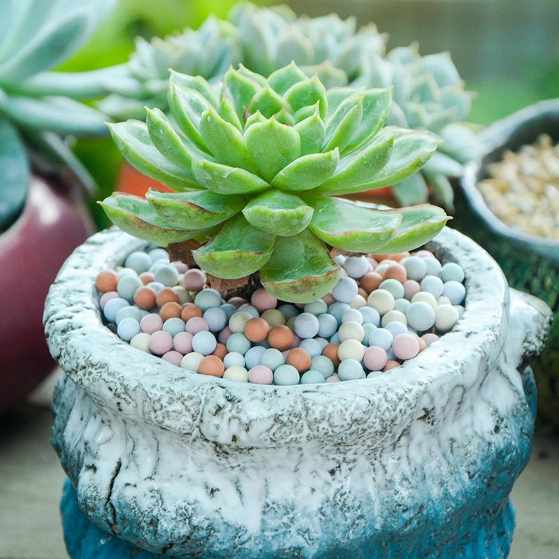 1 Bag Flowers Ceramsite Succulents Potted Ceramic Flower Pots Soil Surface Decoration