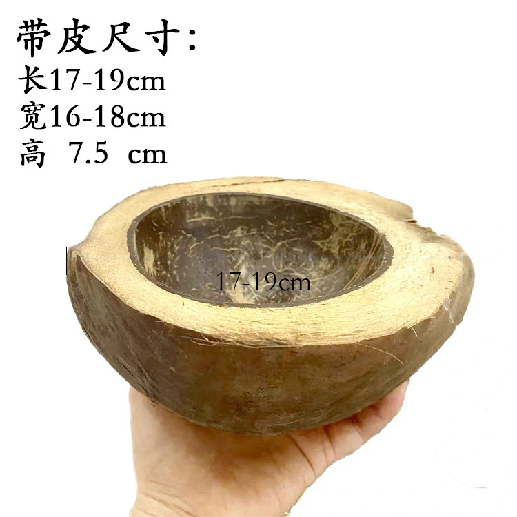 Coconuts Shell Candle Bowl Multi-function Food Bowl Natural Coconuts Shell Fruits Bowl Candle Cup