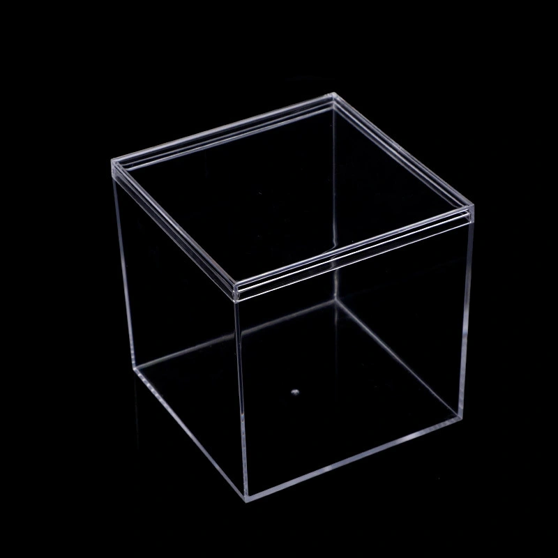 Small Jewelry Case Display Figurine Collection Case Plastic Storage Case Transparent Display Holder