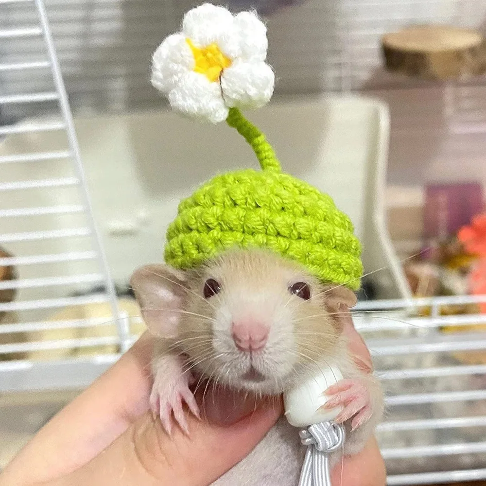 Pet Hamster Cute Hat Small Animal Decorative Cap Costume Accessory Lightweight Mini Hat for Small Pet