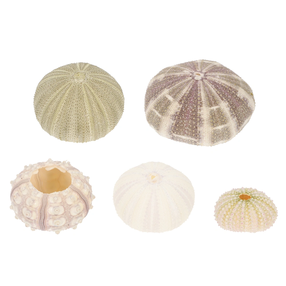 5Pcs Home Sea Urchin Ornaments Aquarium Landscape Sea Urchin Decor Accessories