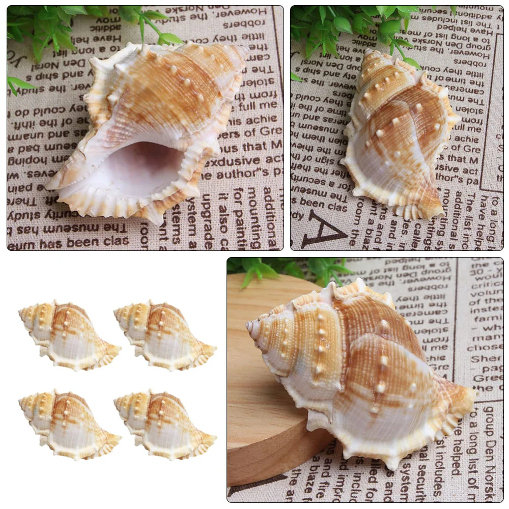 4pcs DIY Sea Shell Conch Crafts Natural Sea Shells Conch Fish Tank Aquarium Home Decoration