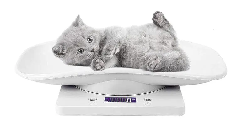 Small Pet Digital Scale Puppy Kitten Weight Measuring Scale Multi-use Digital Scale