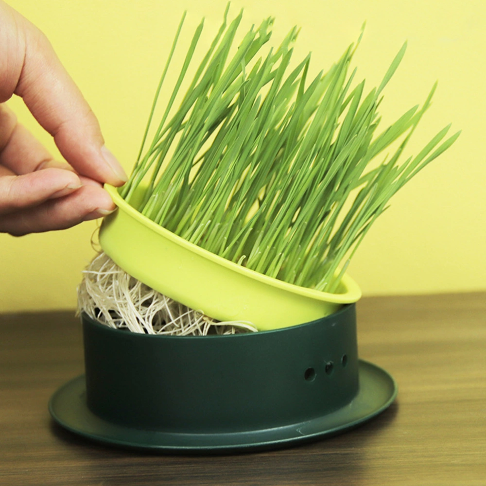 2pcs Cat Grass Cup Hydroponic Cat Grass Planter Cat Catnip Planter Cat Plant Planter Box