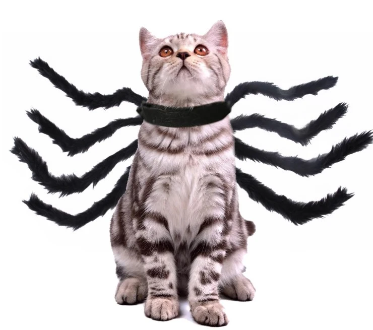 Halloween Pet Costume Novelty Spider Costume Prop Pet Spider Costume Carnival Pet Cosplay(M)