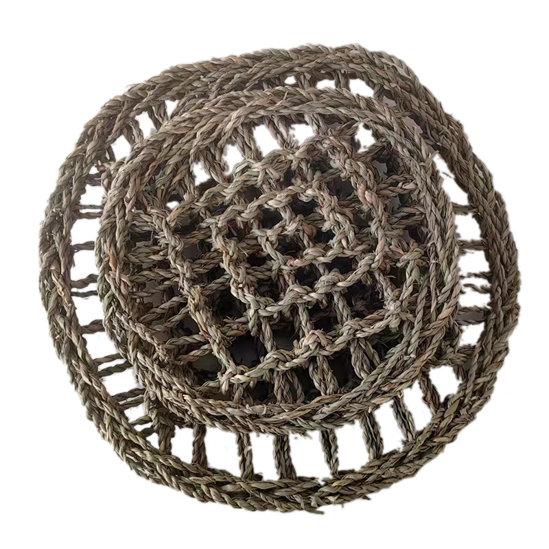Reptile Lizard Climb Mat Woven Reptile Mat Reptile Woven Mat Crawling Pets Net