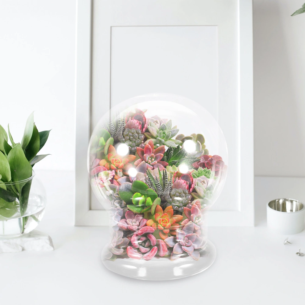 Transparent Ecological Bottle Glass Plant Dome Bottle Microlandscape Terrarium Glass Plant Container