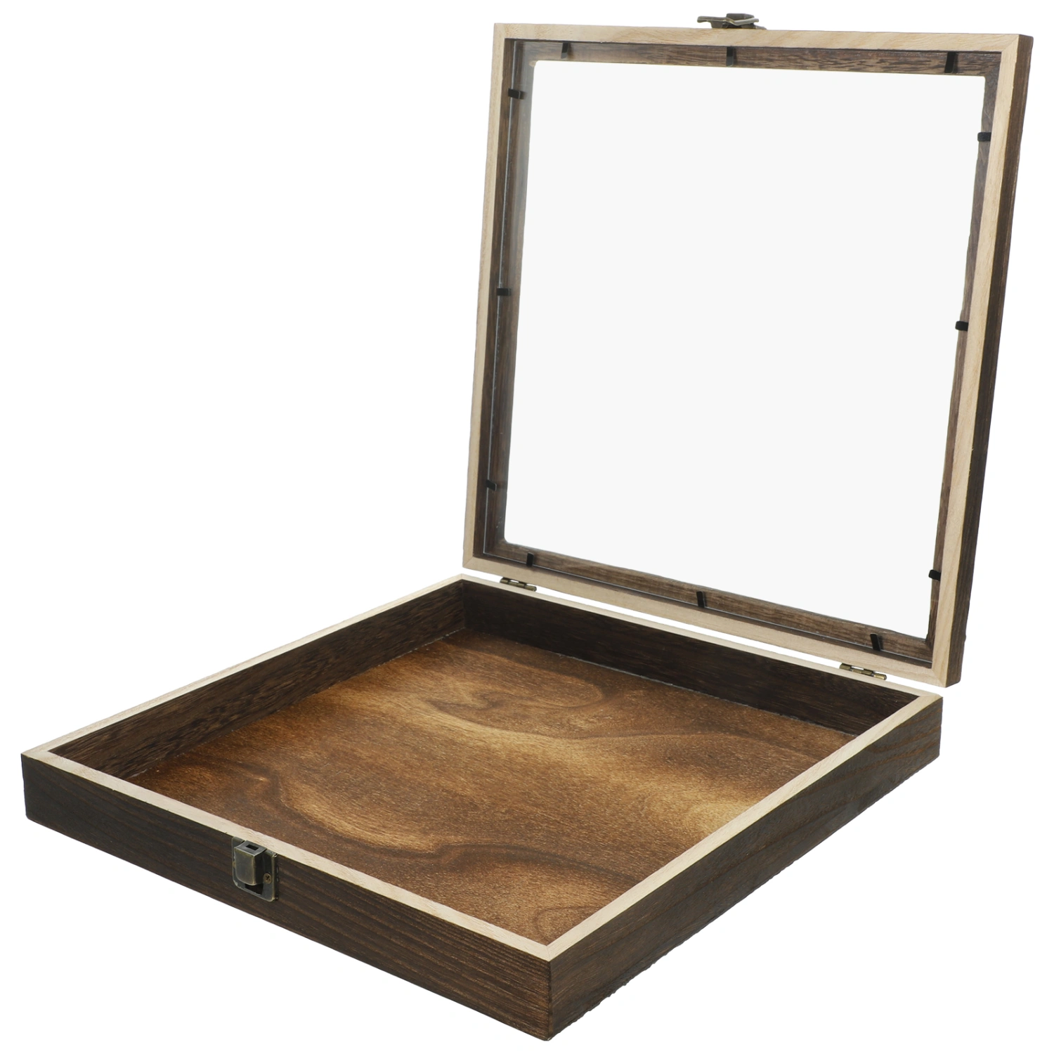 Insect Specimen Display Case Specimen Protective Case Wooden Display Box