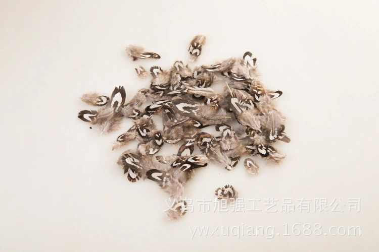 50Pcs Natural Plumes Crafting Plume Bulk Craft Plumes for Diy Craft Wedding Decoration Dream Catcher