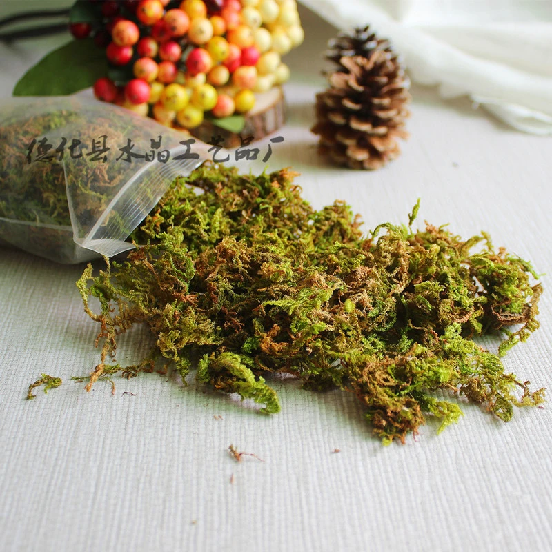 1 Bag of DIY Moss Micro Landscape Bottle Lichen Moss Green Moss Material