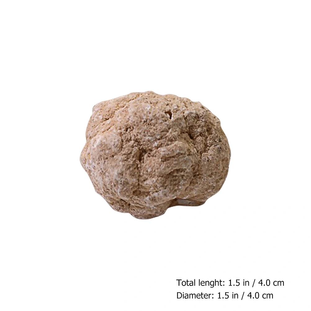 1pc Natural Rough Ore Teaching Samples Rough Crystal Ore Teaching Specimen