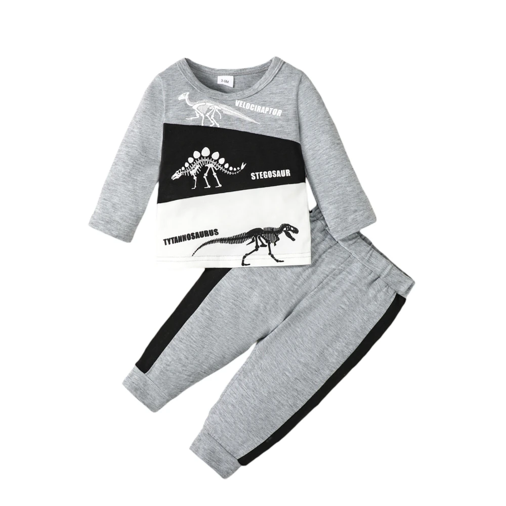 Baby Boy 2 Piece Outfits Dinosaur Fossil Print Sweatshirt and Pants