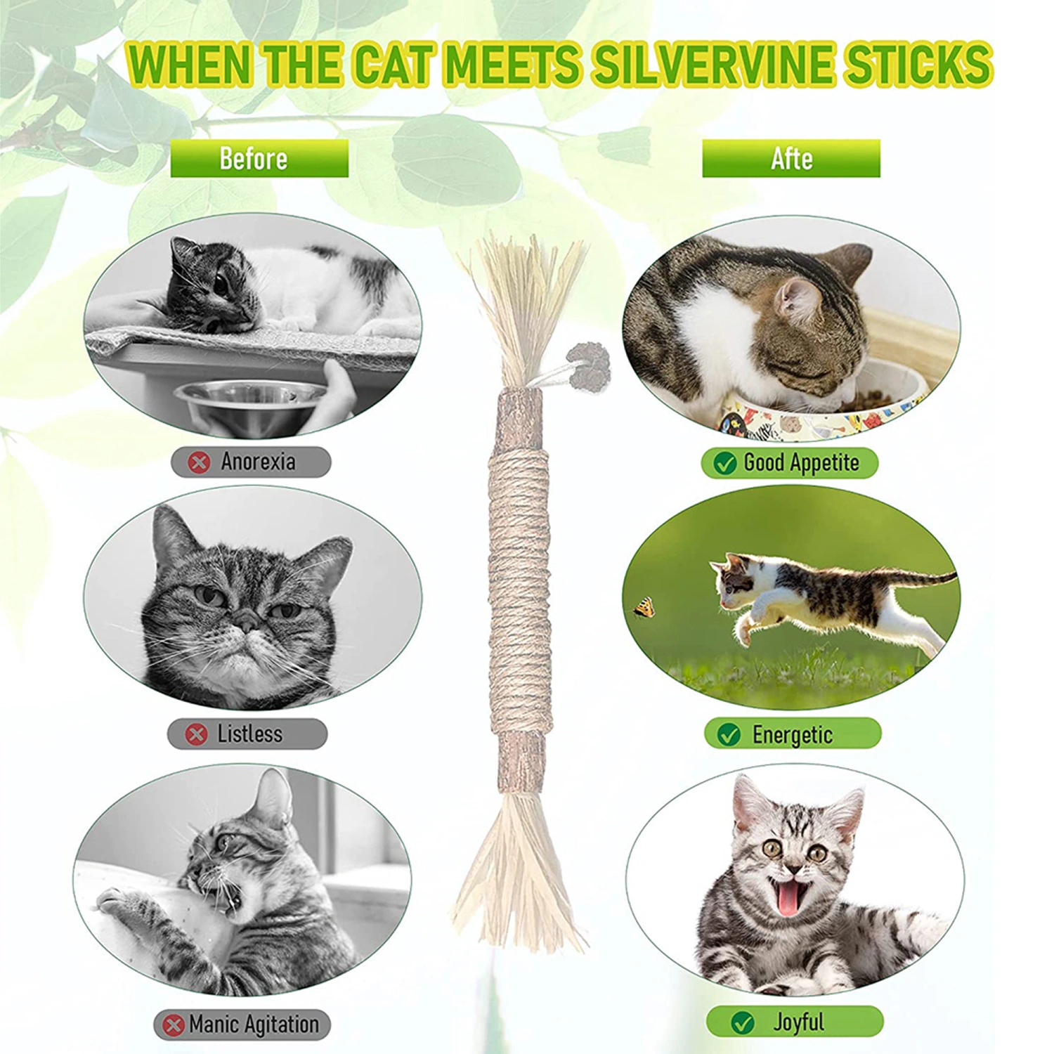 Cat Chew Toys Natural Silvervine Cat Dental Chew Sticks Catnip Toys