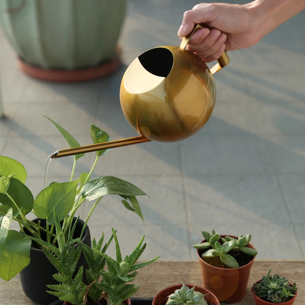 Stainless Steel Succulent Watering Kettle