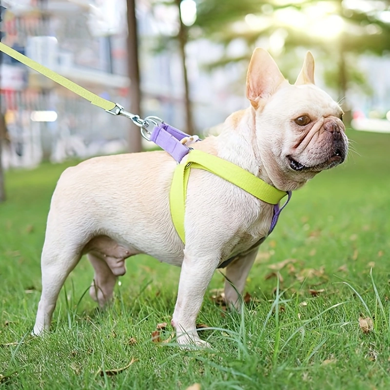 Rainbow Colorblock Pet Harness Set Anti-Escape Vest Type Dog Harness Chest Leash Cotton Designer Puppy Dog Harness Set