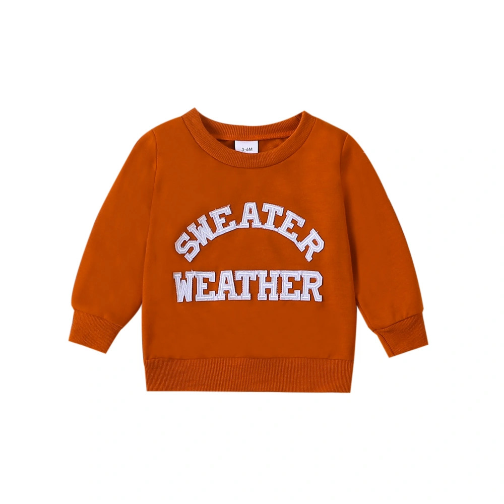 Baby Girls Orange Long Sleeve Crewneck Letter Patch Loose Fit Pullover