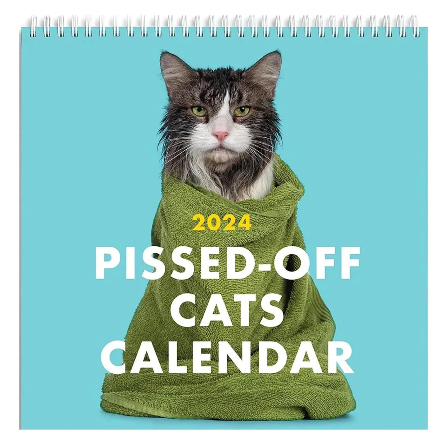 2024 Pissed-off cats calendar, Funny Monthly Planner Daily Schedule