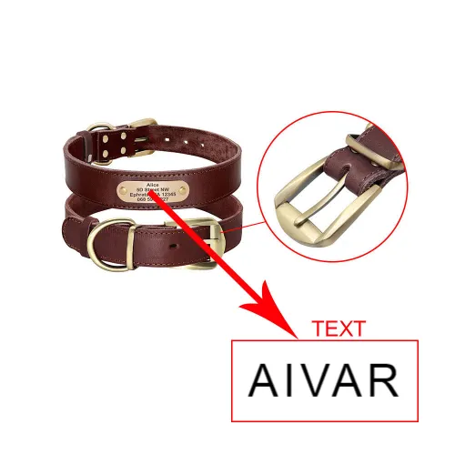 Aivar