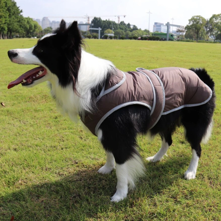 Lapel Pet Dog Clothes Autumn Cotton-padded Coat